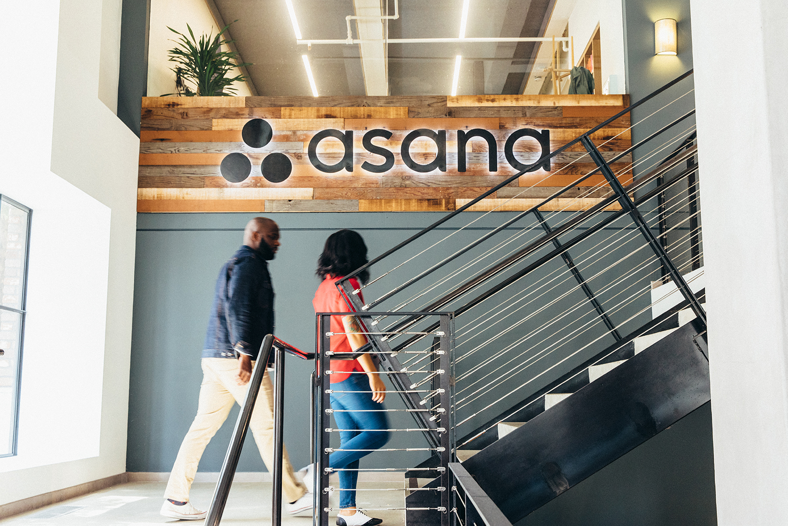 Asana office